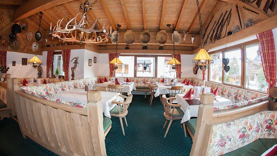 Rotspitz Adults - Only